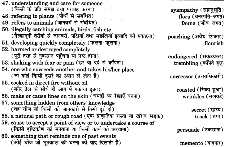 RBSE Class 7 English Vocabulary One Word Substitution 4
