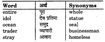 RBSE Class 7 English Vocabulary Synonyms 2