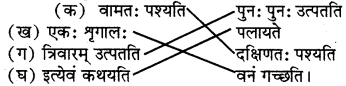 RBSE Solutions for Class 6 Sanskrit Chapter 14 आम्लं द्राक्षाफलम् 1