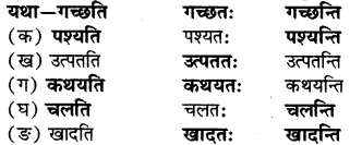RBSE Solutions for Class 6 Sanskrit Chapter 14 आम्लं द्राक्षाफलम् 2
