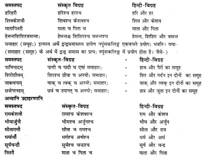 RBSE Class 10 Sanskrit व्याकरणम् समासः image 15a