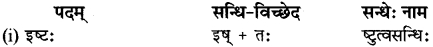 RBSE Class 12 Sanskrit व्याकरणम् सन्धिप्रकरणम् 10