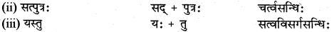 RBSE Class 12 Sanskrit व्याकरणम् सन्धिप्रकरणम् 11