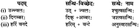 RBSE Class 12 Sanskrit व्याकरणम् सन्धिप्रकरणम् 12