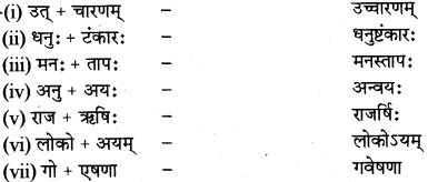 RBSE Class 12 Sanskrit व्याकरणम् सन्धिप्रकरणम् 3