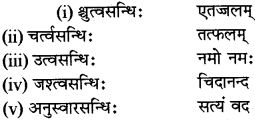 RBSE Class 12 Sanskrit व्याकरणम् सन्धिप्रकरणम् 5