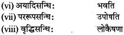 RBSE Class 12 Sanskrit व्याकरणम् सन्धिप्रकरणम् 6