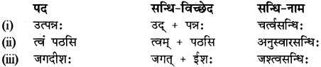 RBSE Class 12 Sanskrit व्याकरणम् सन्धिप्रकरणम् 7