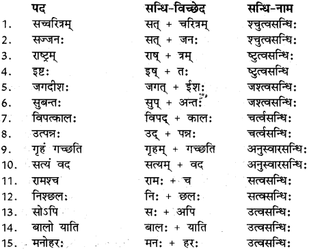 RBSE Class 12 Sanskrit व्याकरणम् सन्धिप्रकरणम् 8