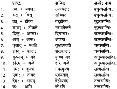 RBSE Class 12 Sanskrit व्याकरणम् सन्धिप्रकरणम् 9