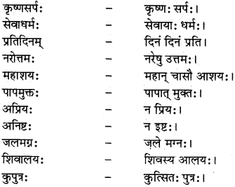 RBSE Class 12 Sanskrit व्याकरणम् समासप्रकरणम् 1