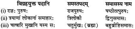 RBSE Class 12 Sanskrit व्याकरणम् समासप्रकरणम् 10