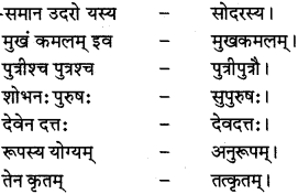 RBSE Class 12 Sanskrit व्याकरणम् समासप्रकरणम् 3