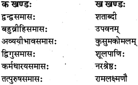 RBSE Class 12 Sanskrit व्याकरणम् समासप्रकरणम् 4