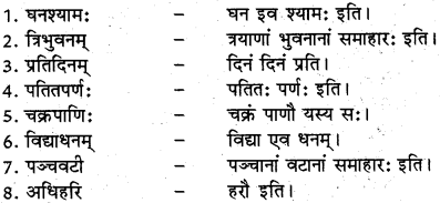 RBSE Class 12 Sanskrit व्याकरणम् समासप्रकरणम् 6