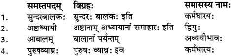 RBSE Class 12 Sanskrit व्याकरणम् समासप्रकरणम् 7