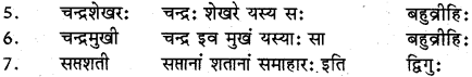 RBSE Class 12 Sanskrit व्याकरणम् समासप्रकरणम् 8
