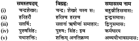 RBSE Class 12 Sanskrit व्याकरणम् समासप्रकरणम् 9
