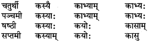 RBSE Class 6 Sanskrit परिशिष्टम् 16
