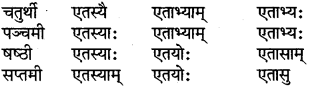 RBSE Class 6 Sanskrit परिशिष्टम् 22