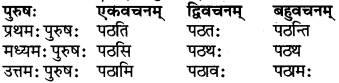 RBSE Class 6 Sanskrit परिशिष्टम् 24