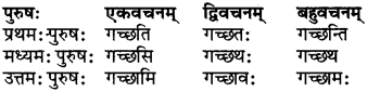RBSE Class 6 Sanskrit परिशिष्टम् 28