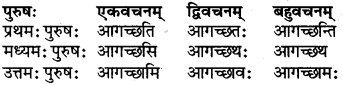 RBSE Class 6 Sanskrit परिशिष्टम् 30