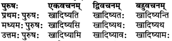 RBSE Class 6 Sanskrit परिशिष्टम् 33