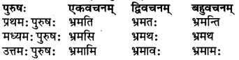 RBSE Class 6 Sanskrit परिशिष्टम् 43