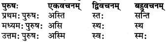 RBSE Class 6 Sanskrit परिशिष्टम् 47