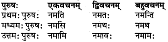 RBSE Class 6 Sanskrit परिशिष्टम् 49