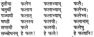 RBSE Class 6 Sanskrit परिशिष्टम् 5