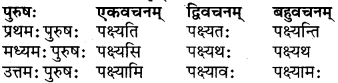 RBSE Class 6 Sanskrit परिशिष्टम् 54