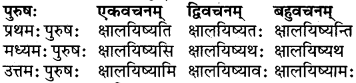 RBSE Class 6 Sanskrit परिशिष्टम् 58