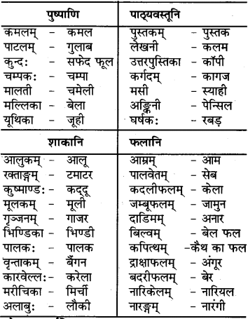 RBSE Class 6 Sanskrit परिशिष्टम् 66