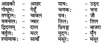 RBSE Class 6 Sanskrit परिशिष्टम् 69
