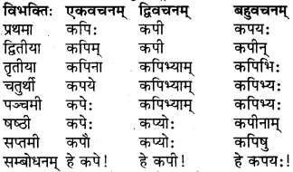 RBSE Class 6 Sanskrit परिशिष्टम् 7