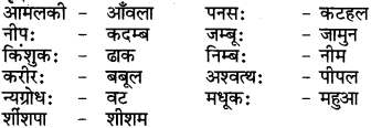 RBSE Class 6 Sanskrit परिशिष्टम् 70