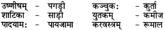 RBSE Class 6 Sanskrit परिशिष्टम् 71