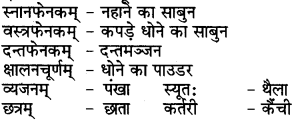 RBSE Class 6 Sanskrit परिशिष्टम् 72