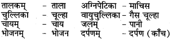RBSE Class 6 Sanskrit परिशिष्टम् 73