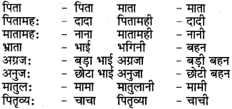 RBSE Class 6 Sanskrit परिशिष्टम् 74