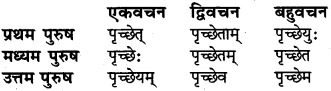 RBSE Class 6 Sanskrit व्याकरण धातु-रूपम् 42