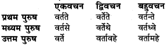 RBSE Class 6 Sanskrit व्याकरण धातु-रूपम् 43