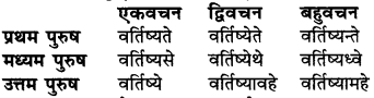 RBSE Class 6 Sanskrit व्याकरण धातु-रूपम् 45