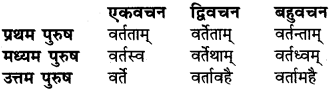 RBSE Class 6 Sanskrit व्याकरण धातु-रूपम् 46