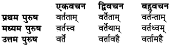 RBSE Class 6 Sanskrit व्याकरण धातु-रूपम् 47