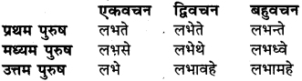 RBSE Class 6 Sanskrit व्याकरण धातु-रूपम् 48
