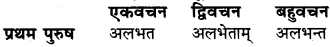 RBSE Class 6 Sanskrit व्याकरण धातु-रूपम् 49