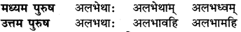 RBSE Class 6 Sanskrit व्याकरण धातु-रूपम् 50
